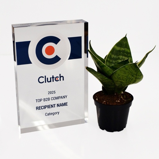 (Clutch) 4" x 6" Clear Rectangle Acrylic